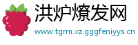 洪炉燎发网